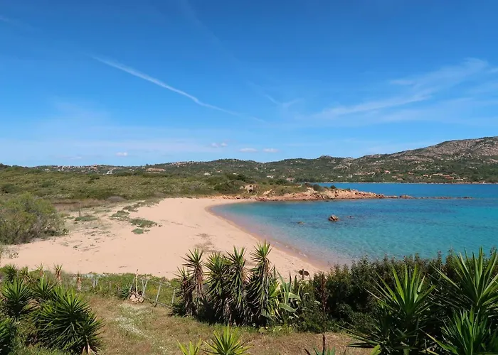 Flamingo By Interhome Costa Corallina